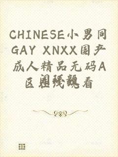 CHINESE小男同GAY XNXX国产成人精品无码A区在线观看